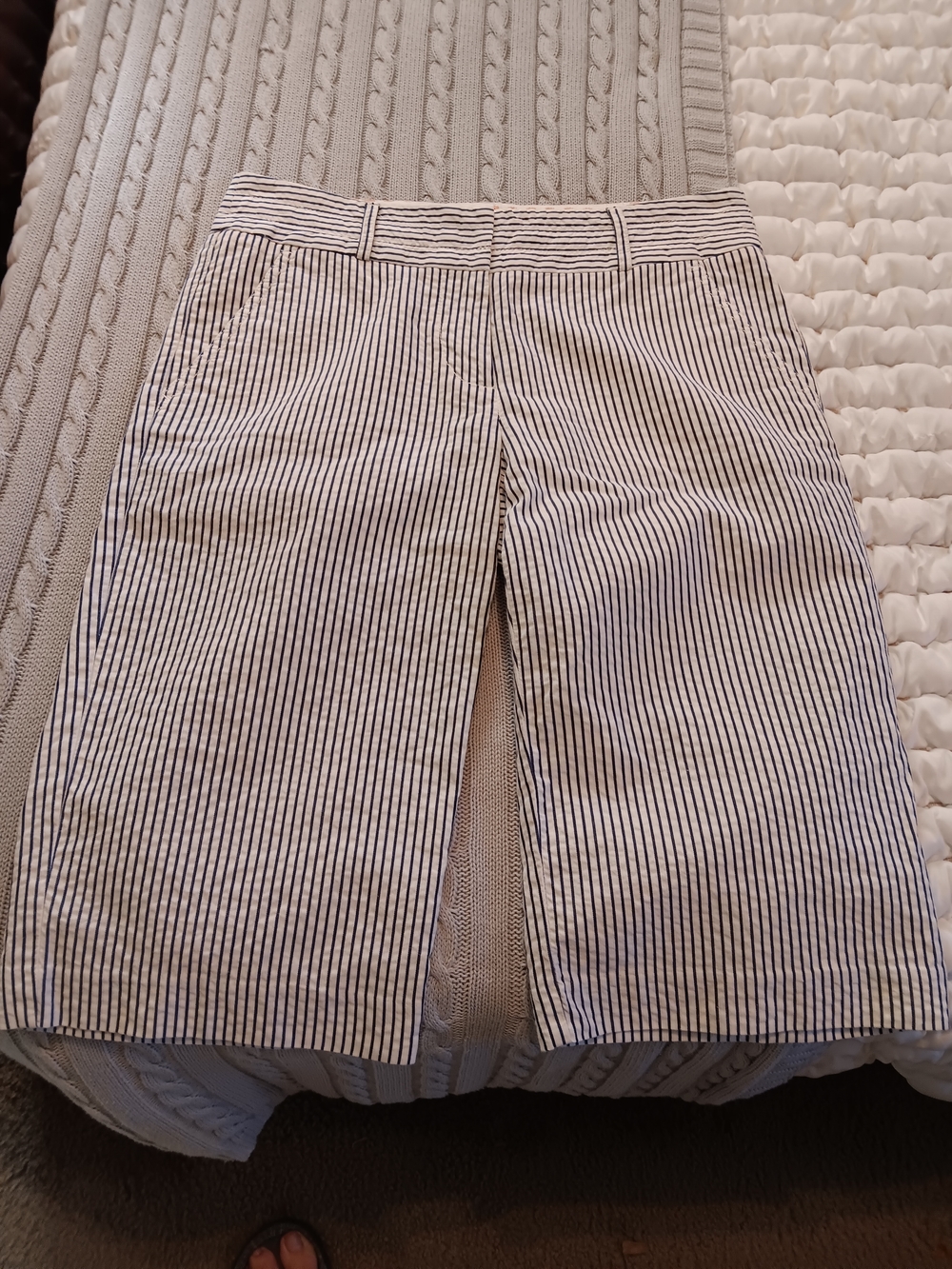J. Crew Navy and White Striped Chino Shorts